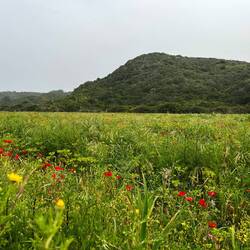 ..durch das Landesinnere führt.