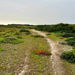 ..schildert den Historischen Weg aus, der..