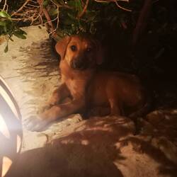 How can she look so small and big at the same time?