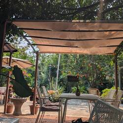 Picked up my book for the first time this trip