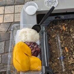 Mango Sticky Rice an der Victoria Bay