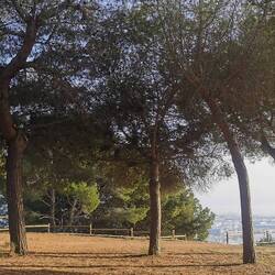 Obwohl der Hafen so weit unten liegt, hört man das Brummen unter den Rufen der Möwen!