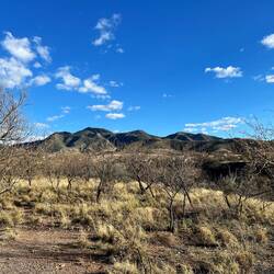 On the toad to Patagonia