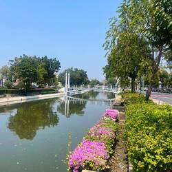 Es ziehen sich überall hübsch begrünte Kanäle durch die Altstadt von Bangkok