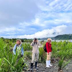 Warten auf die Aras..🦜