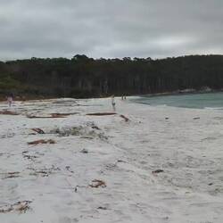 Fortescue bay with Fran