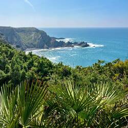 Die Vegetation beginnt sich leicht zu ändern, sodass nun auch Yucca-Palmen zu wachsen beginnen.
