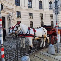 Hofreiter Schule Wien