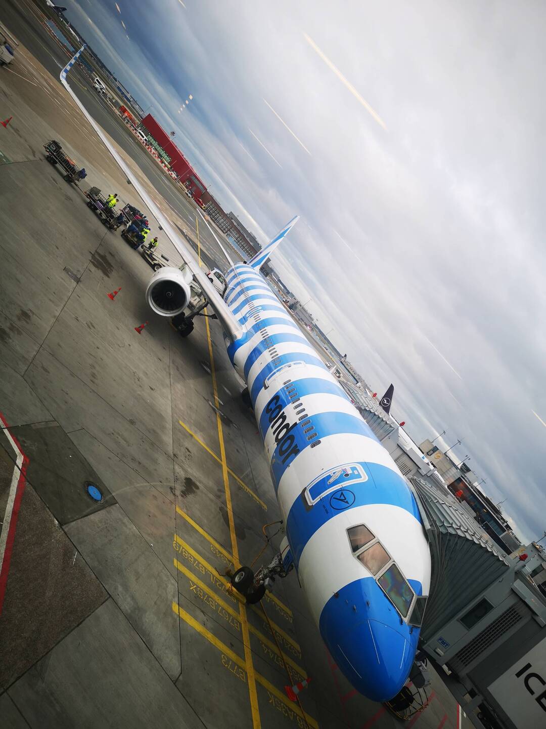 Who else do these stripes remind them of a cell?