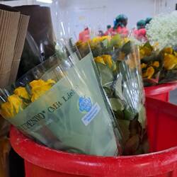 Diese Rosen kann man bei REWE jaufen