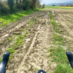 Modder bis der Arzt kommt