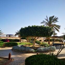 Coral Gardens Garden