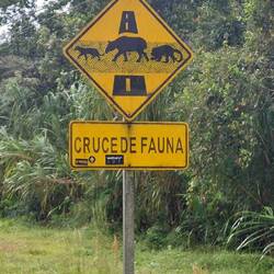 ... und tolle Warnschilder!