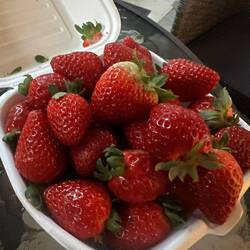 Ach ja, und nicht zu vergessen die Erdbeerstände im Norden😀