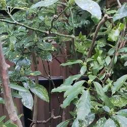 Eine kleine Roomtour unseres traditionellen Hauses