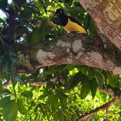 Ένα γλυκούλι που κατέβηκε να πάρει φαγητό μετά, και μετά με εχεσε