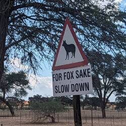 Coole Schilder gibt es hier