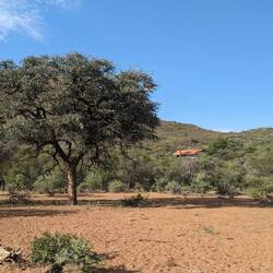 Blick auf Camp Omunguindi