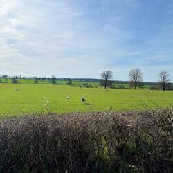 Weite, einfach nur Weite