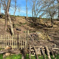 Was für ein Garten mit einer Ziege und einem Hausschwein