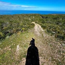 ..Aussicht verlangen.