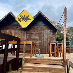 ..stattdessen viele Surfschulen und..