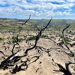 Leider gab es in vergangenen Jahr durch ein Unwetter einen größeren Brand.