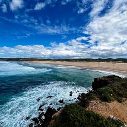 Kurz vor Bordeira/Carrapateira endete das Flammenmeer,..