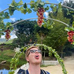 Fast wie daheim 😍🍇