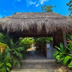 TreeTops Tulum 💕