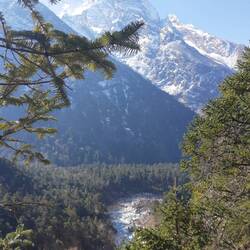 Fluss, Wald und Berge - alles zusammen.