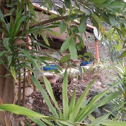 Auch hier nochmal ein chilliges Örtchen.