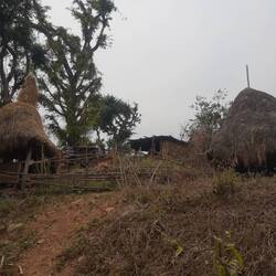 Auf meinem Weg zum See