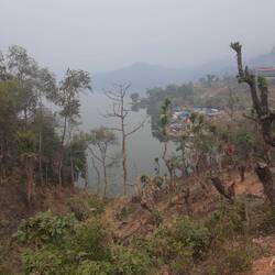 Morgendlicher Kurzspaziergang mit faszinierenden Vogel - Geräuschkulisse