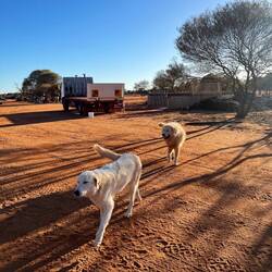 Wir werden lautstark begrüßt