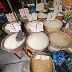 Different types of Rice