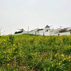 ..eine Unterkunft zu nehmen, beschließe aber weiterzuwandern.