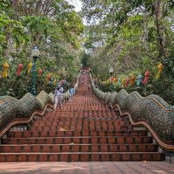 Not happy to see ALL these steps after a very sweaty hike