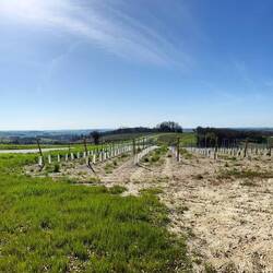 Was füer ein Ausblick