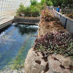 Mini ocean. They had coral at one time