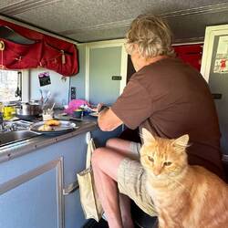 Felipe, unser Katzenbesuch