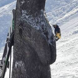 Hier gibt es endlich mal guten Latte!