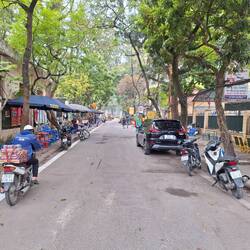 Lane to Botanical Garden