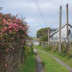 In dieser Sackgasse ist unser Häuschen fürs Wochenende:)