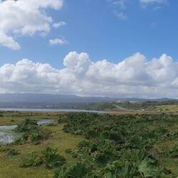 Am 3. Tag kann Laura sich wieder begrenzt bewegen und wir wiederholen die Tour zum nächsten Strand.