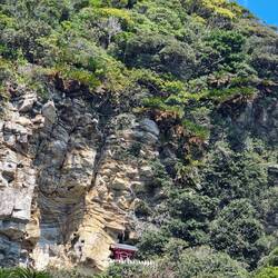 Der Miyazaki-jingu-Schrein.