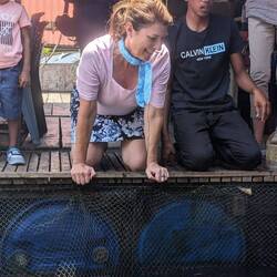 Getting Ready to Feed Ray