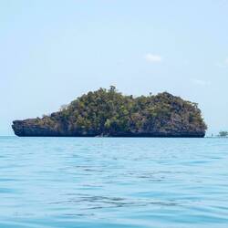 Shoe Island