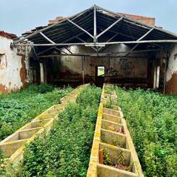 ..seit mehreren Jahren sich selbst überlassen werden.