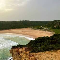 Die eventuell vorhandene Mäusepopulation lässt mich aber weiterziehen, weswegen..